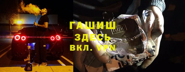 индика Балахна