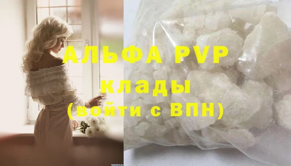 индика Балахна