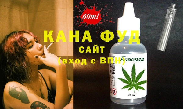 индика Балахна