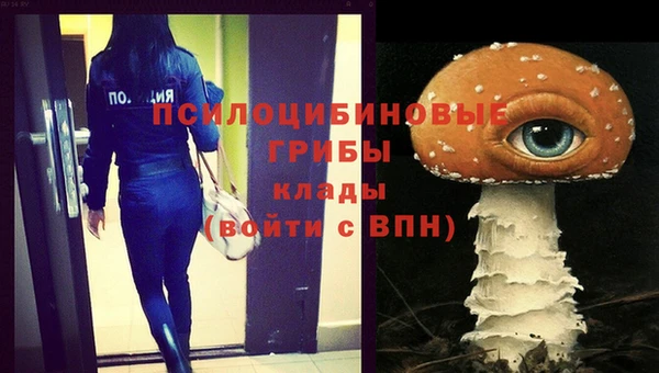 прущие крисы Баксан