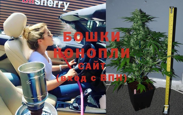 индика Балахна