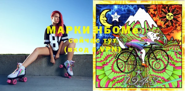 индика Балахна