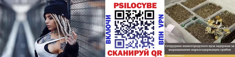 Псилоцибиновые грибы Magic Shrooms  mega ССЫЛКА  Нарткала 